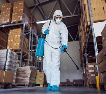 empresas de fumigación