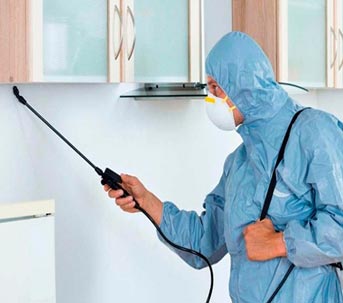 servicio de fumigación